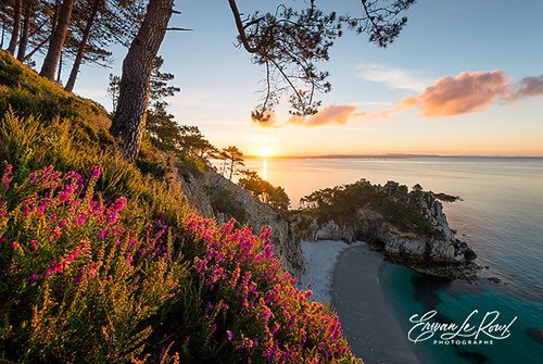 Erwan Le Roux Photographe - Photographe - 2 Erwan Le Roux Photographe - Photographe - 2