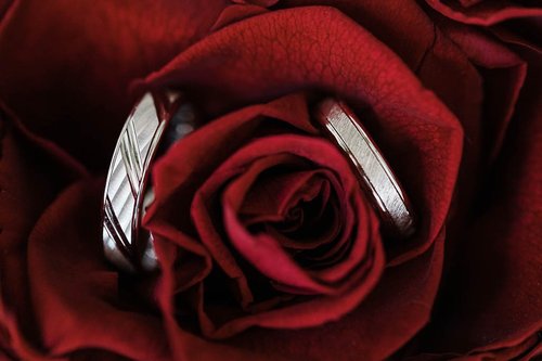 photographe mariage - Photographe mariage - 1 photographe mariage - Photographe mariage - 1