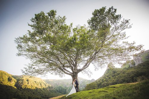 Photographe mariage - ALBA PHOTOGRAPHIE - photo 36