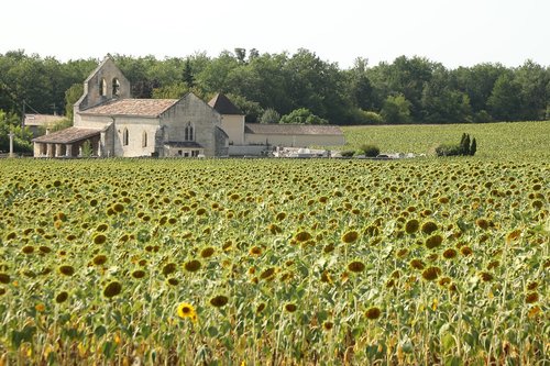 Philippe LE JEUNE Photographe - Photographe - 1 Philippe LE JEUNE Photographe - Photographe - 1